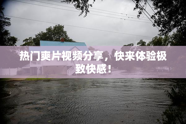 热门爽片视频分享，快来体验极致快感！