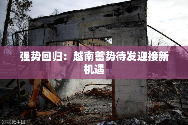 强势回归：越南蓄势待发迎接新机遇