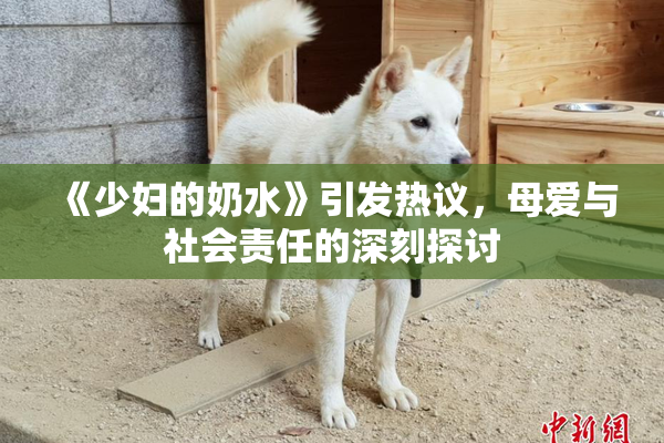 《少妇的奶水》引发热议，母爱与社会责任的深刻探讨