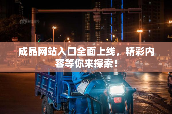 成品网站入口全面上线，精彩内容等你来探索！