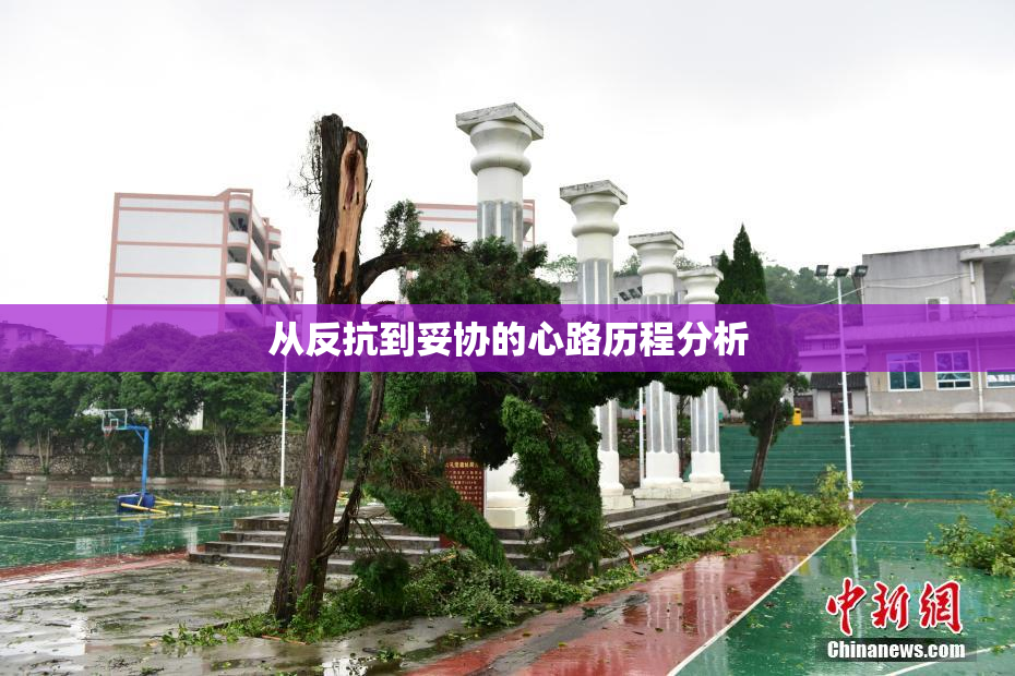 从反抗到妥协的心路历程分析