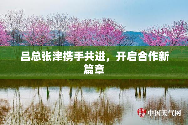 吕总张津携手共进，开启合作新篇章