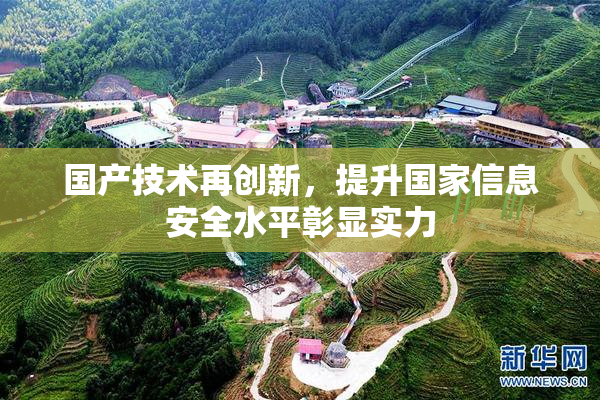 国产技术再创新，提升国家信息安全水平彰显实力