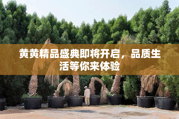 黄黄精品盛典即将开启，品质生活等你来体验