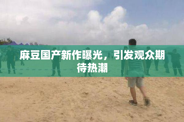 麻豆国产新作曝光，引发观众期待热潮
