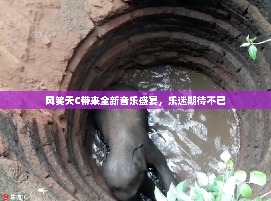 风笑天C带来全新音乐盛宴，乐迷期待不已