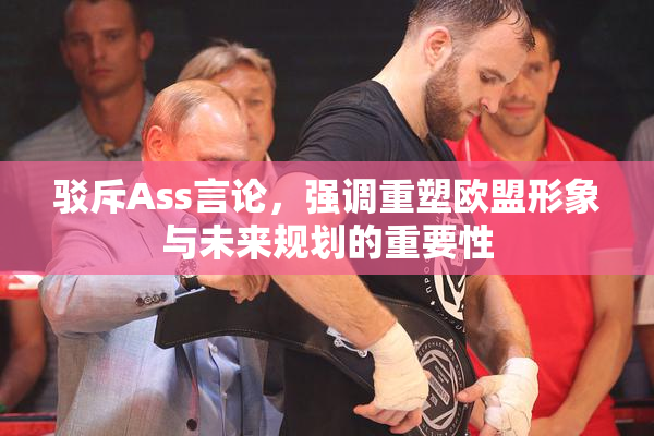 驳斥Ass言论，强调重塑欧盟形象与未来规划的重要性