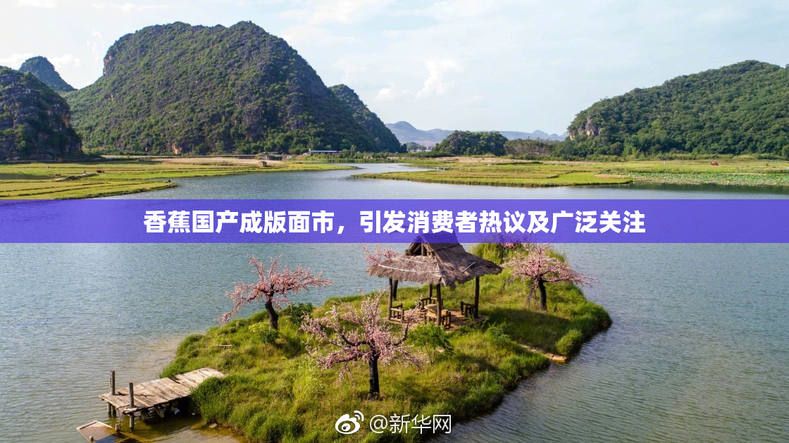 香蕉国产成版面市，引发消费者热议及广泛关注