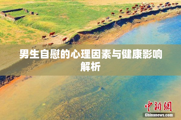 男生自慰的心理因素与健康影响解析