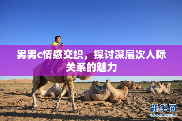 男男c情感交织，探讨深层次人际关系的魅力