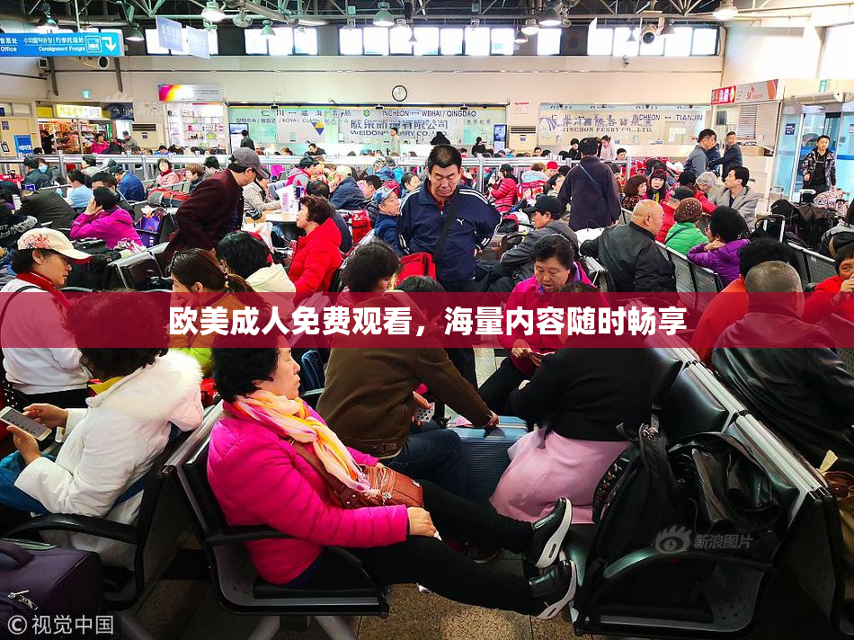 欧美成人免费观看，海量内容随时畅享