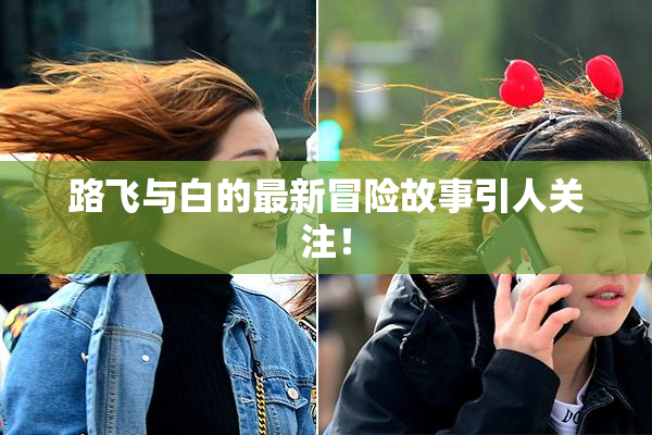 路飞与白的最新冒险故事引人关注！
