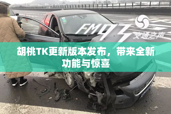 胡桃TK更新版本发布，带来全新功能与惊喜