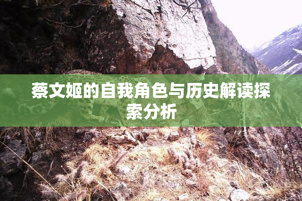蔡文姬的自我角色与历史解读探索分析