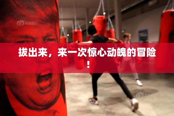 拔出来，来一次惊心动魄的冒险！