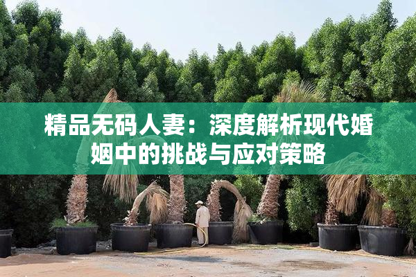 精品无码人妻：深度解析现代婚姻中的挑战与应对策略