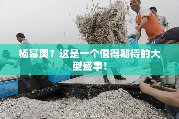 杨幂爽？这是一个值得期待的大型盛事！