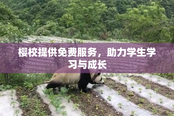樱校提供免费服务，助力学生学习与成长