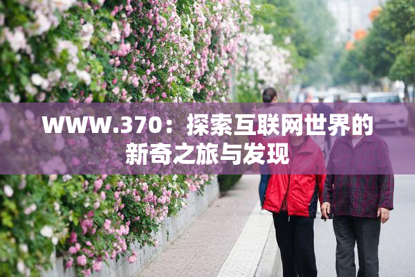 WWW.370：探索互联网世界的新奇之旅与发现