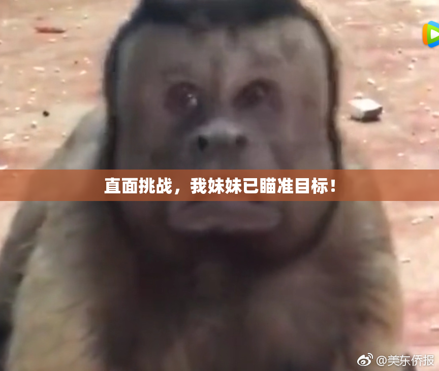 直面挑战，我妹妹已瞄准目标！