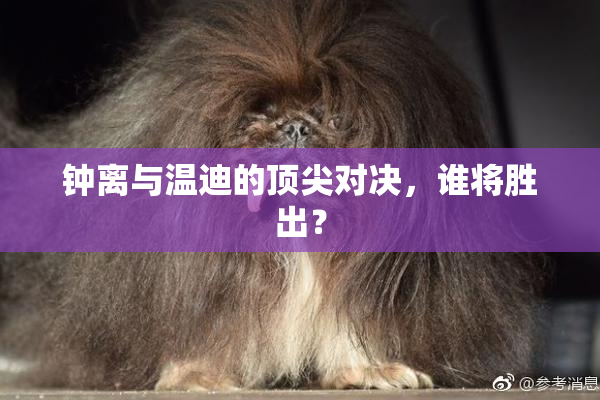 钟离与温迪的顶尖对决，谁将胜出？