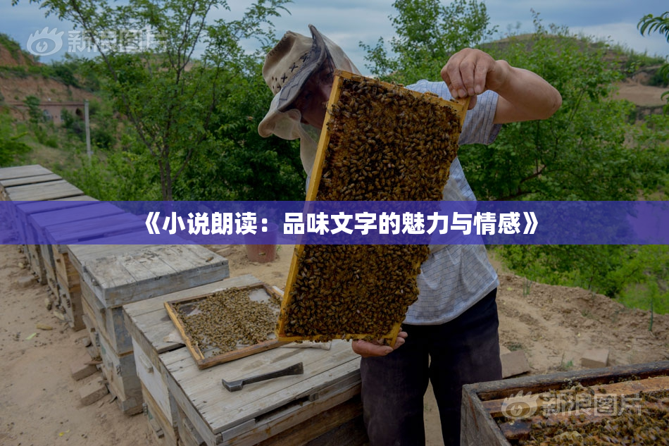 《小说朗读：品味文字的魅力与情感》