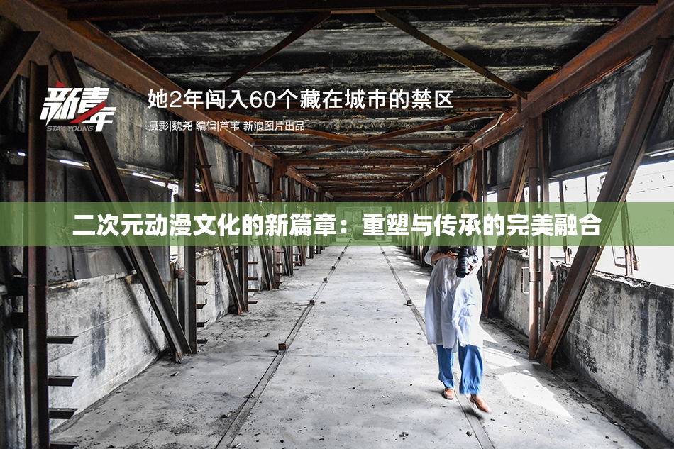 二次元动漫文化的新篇章：重塑与传承的完美融合