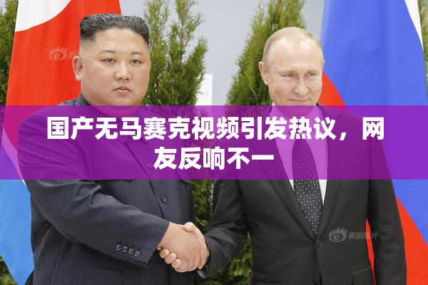 国产无马赛克视频引发热议，网友反响不一