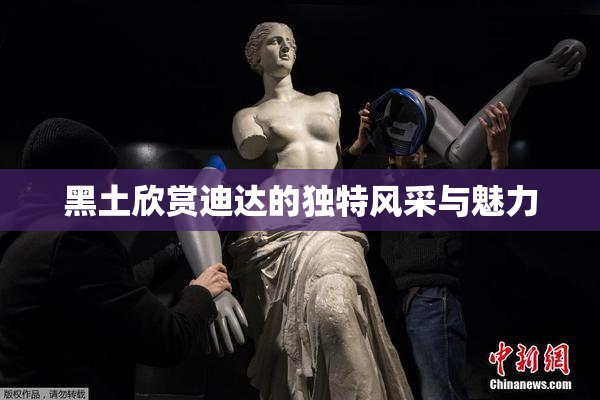 黑土欣赏迪达的独特风采与魅力