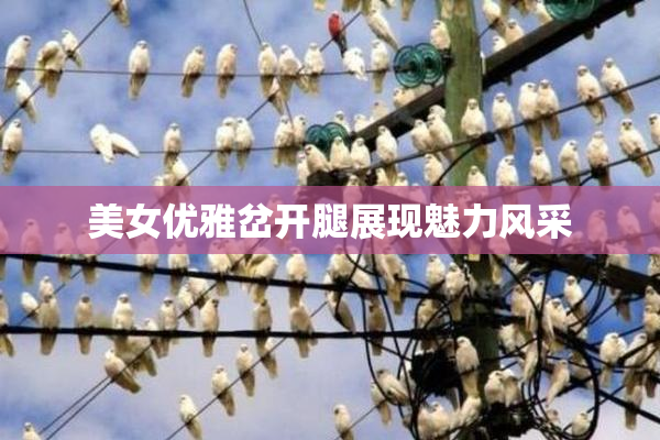 美女优雅岔开腿展现魅力风采