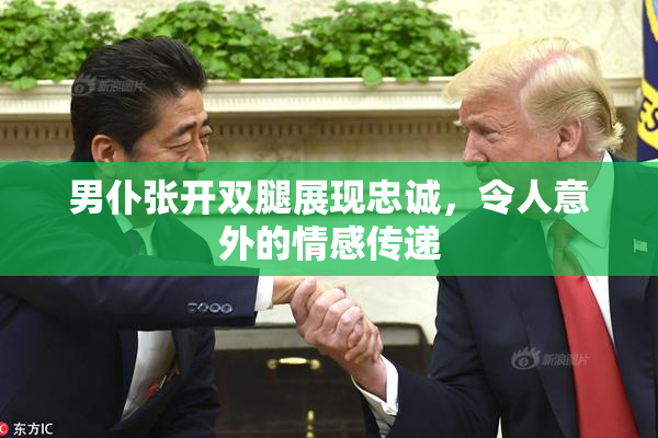 男仆张开双腿展现忠诚，令人意外的情感传递