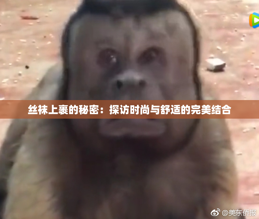 丝袜上裹的秘密：探访时尚与舒适的完美结合