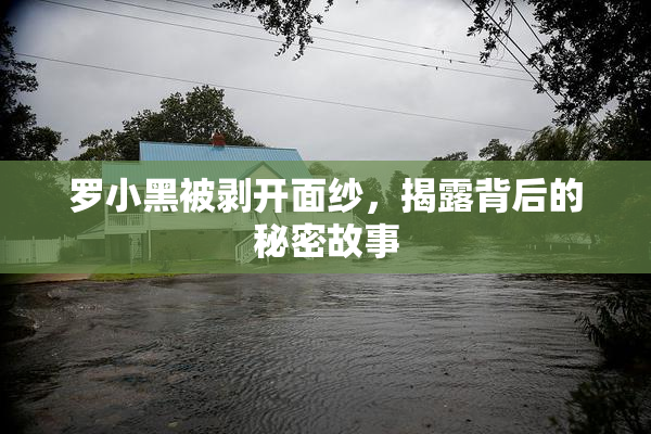 罗小黑被剥开面纱，揭露背后的秘密故事