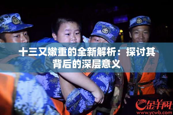 十三又嫩重的全新解析：探讨其背后的深层意义