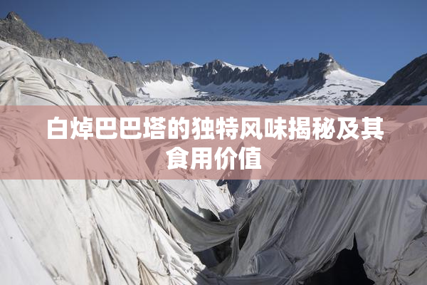 白焯巴巴塔的独特风味揭秘及其食用价值
