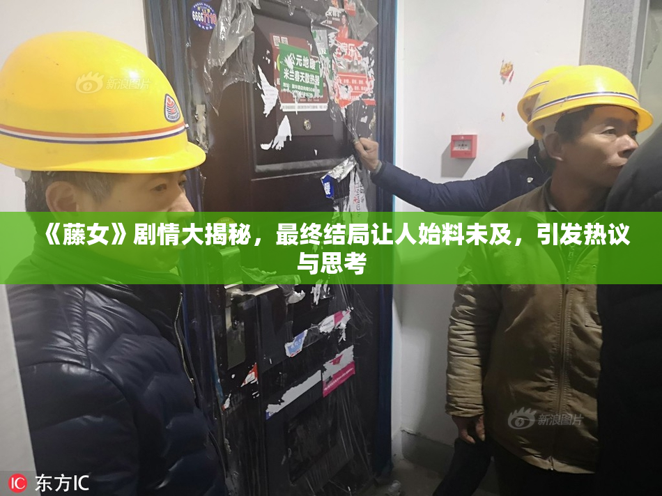 《藤女》剧情大揭秘，最终结局让人始料未及，引发热议与思考
