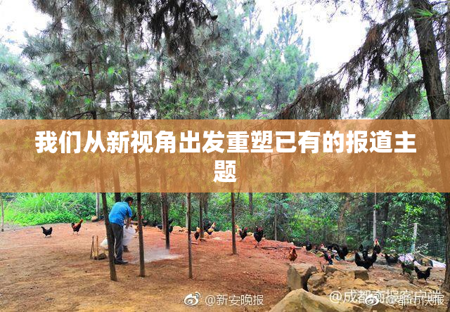 我们从新视角出发重塑已有的报道主题