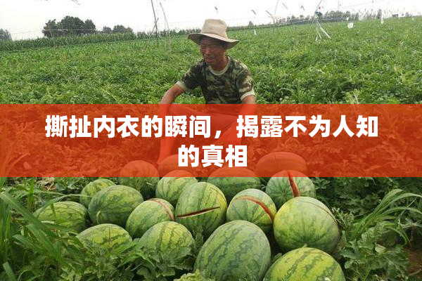 撕扯内衣的瞬间，揭露不为人知的真相