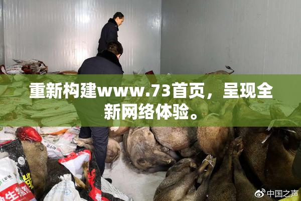重新构建www.73首页，呈现全新网络体验。