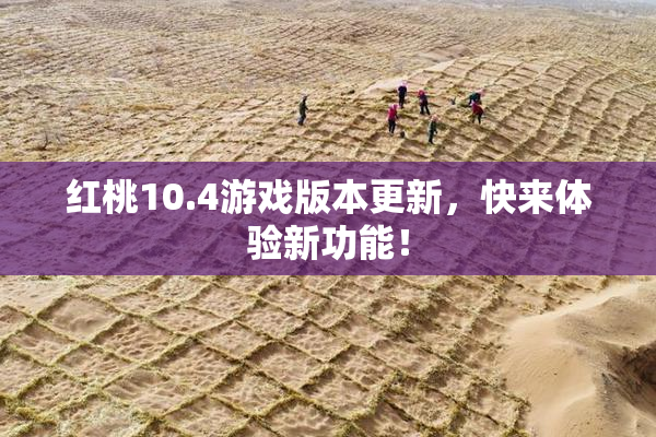 红桃10.4游戏版本更新，快来体验新功能！