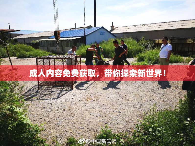 成人内容免费获取，带你探索新世界！