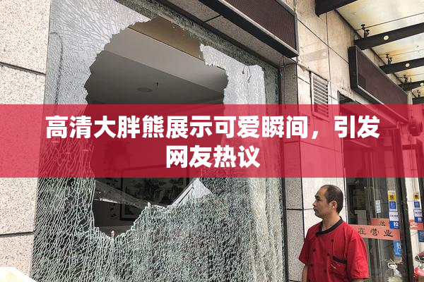 高清大胖熊展示可爱瞬间，引发网友热议