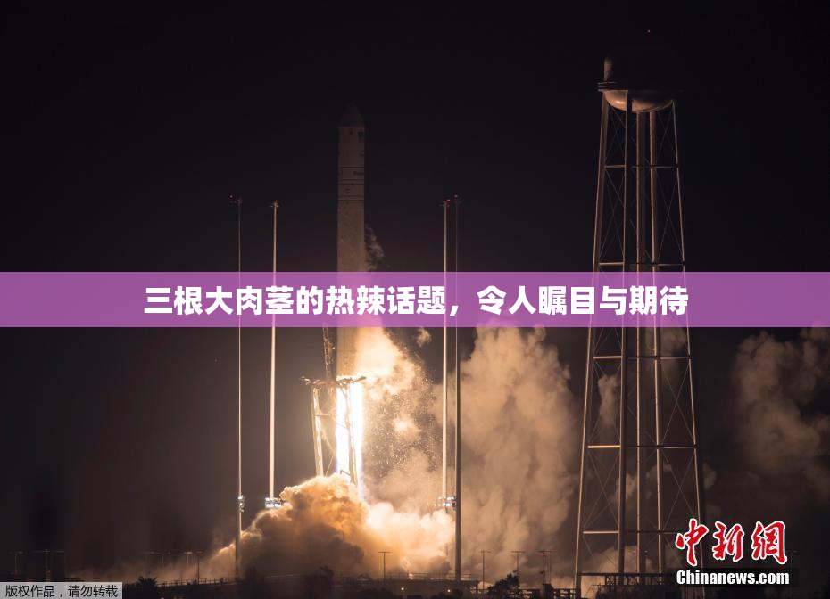 三根大肉茎的热辣话题，令人瞩目与期待