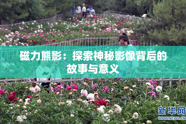 磁力熊影：探索神秘影像背后的故事与意义