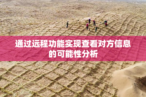 通过远程功能实现查看对方信息的可能性分析
