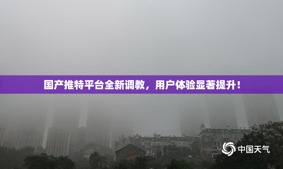 国产推特平台全新调教，用户体验显著提升！