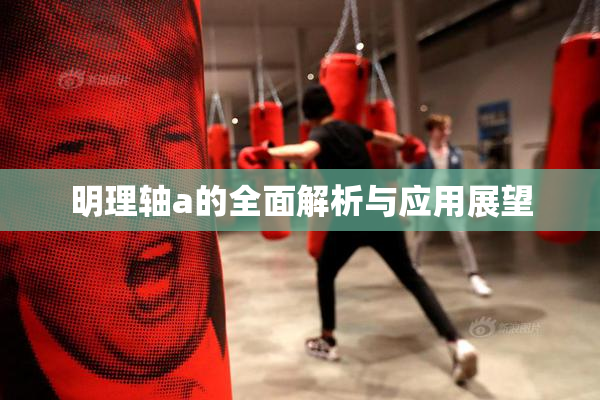 明理轴a的全面解析与应用展望