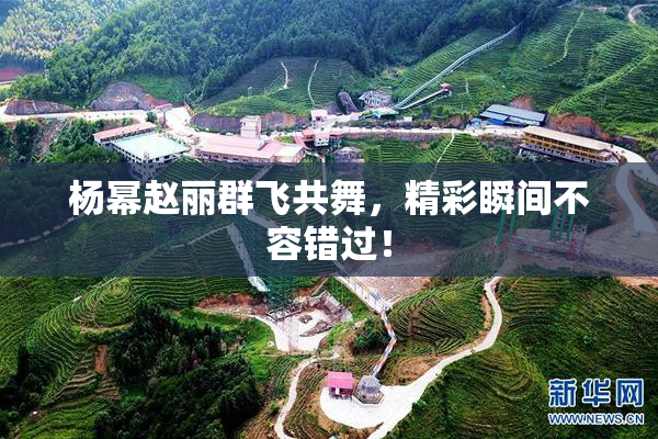 杨幂赵丽群飞共舞，精彩瞬间不容错过！