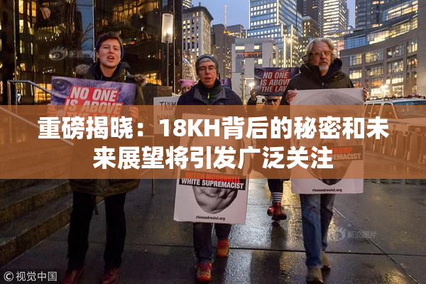 重磅揭晓：18KH背后的秘密和未来展望将引发广泛关注