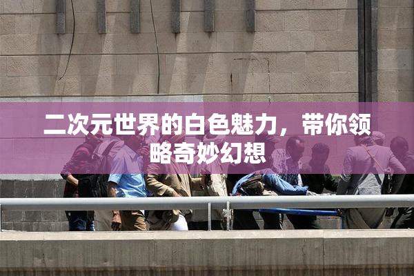 二次元世界的白色魅力，带你领略奇妙幻想